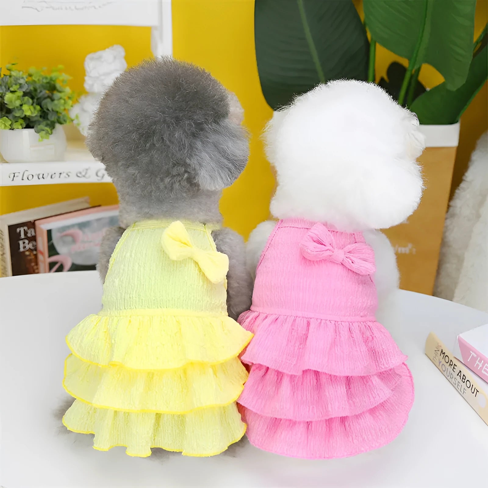 Small dog wearing a rose red princess dress with a layered candy skirt.