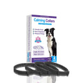 Four monochrome dog collars in different colours with Chinese-style design