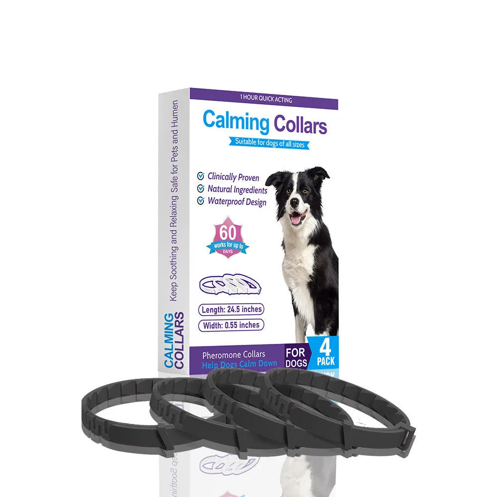 Four monochrome dog collars in different colours with Chinese-style design