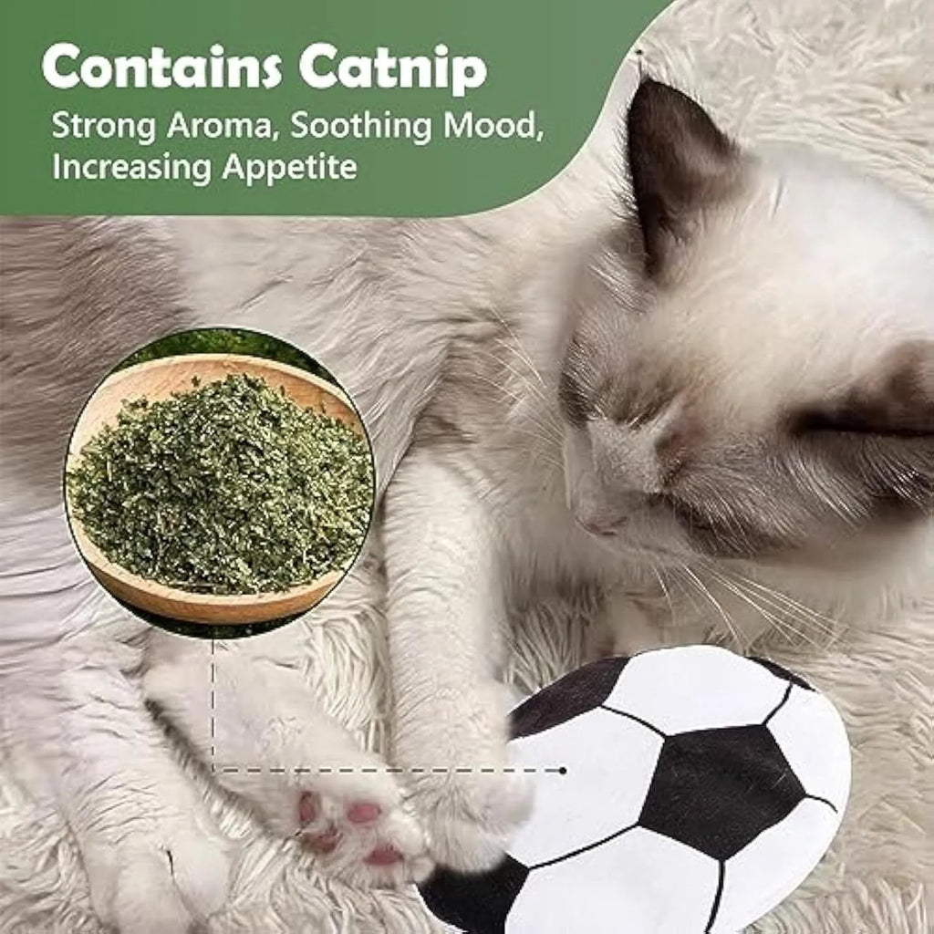 Soft plush cat toy with sports ball pattern, flat disc shape for throwing