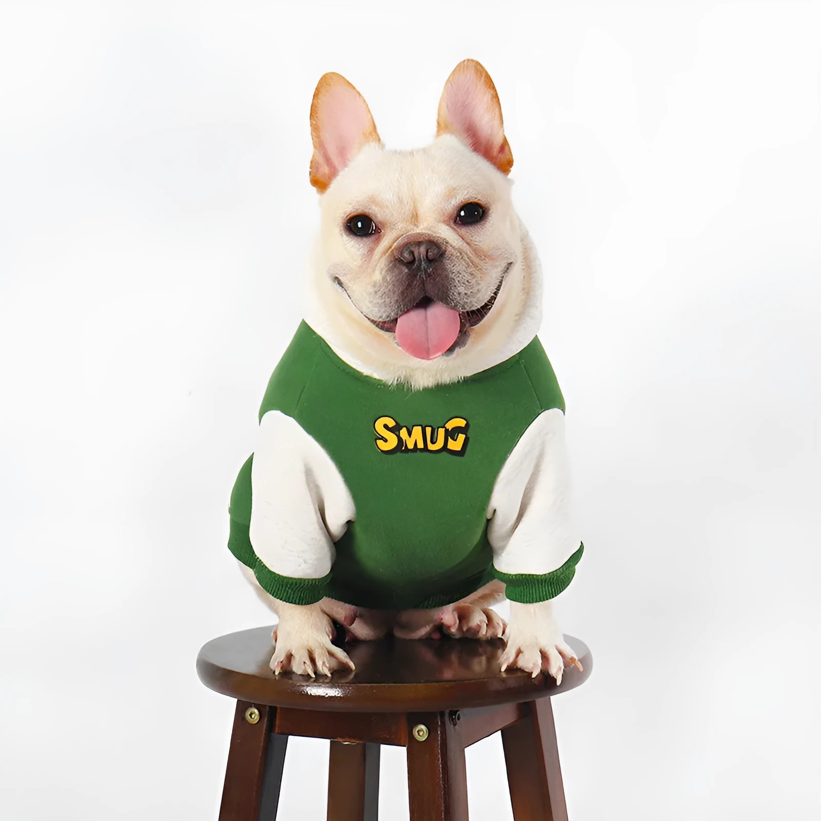 Green cotton dog clothing for autumn and winter wear available in sizes L to 4XL