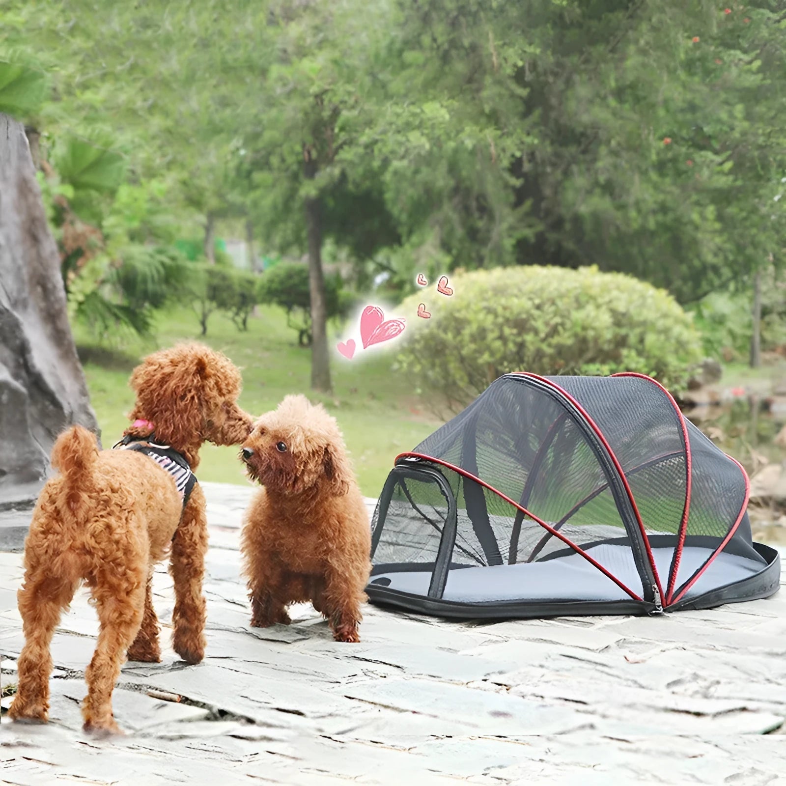 Folding cat tent with half mesh panels in L code size for portable pet accommodation