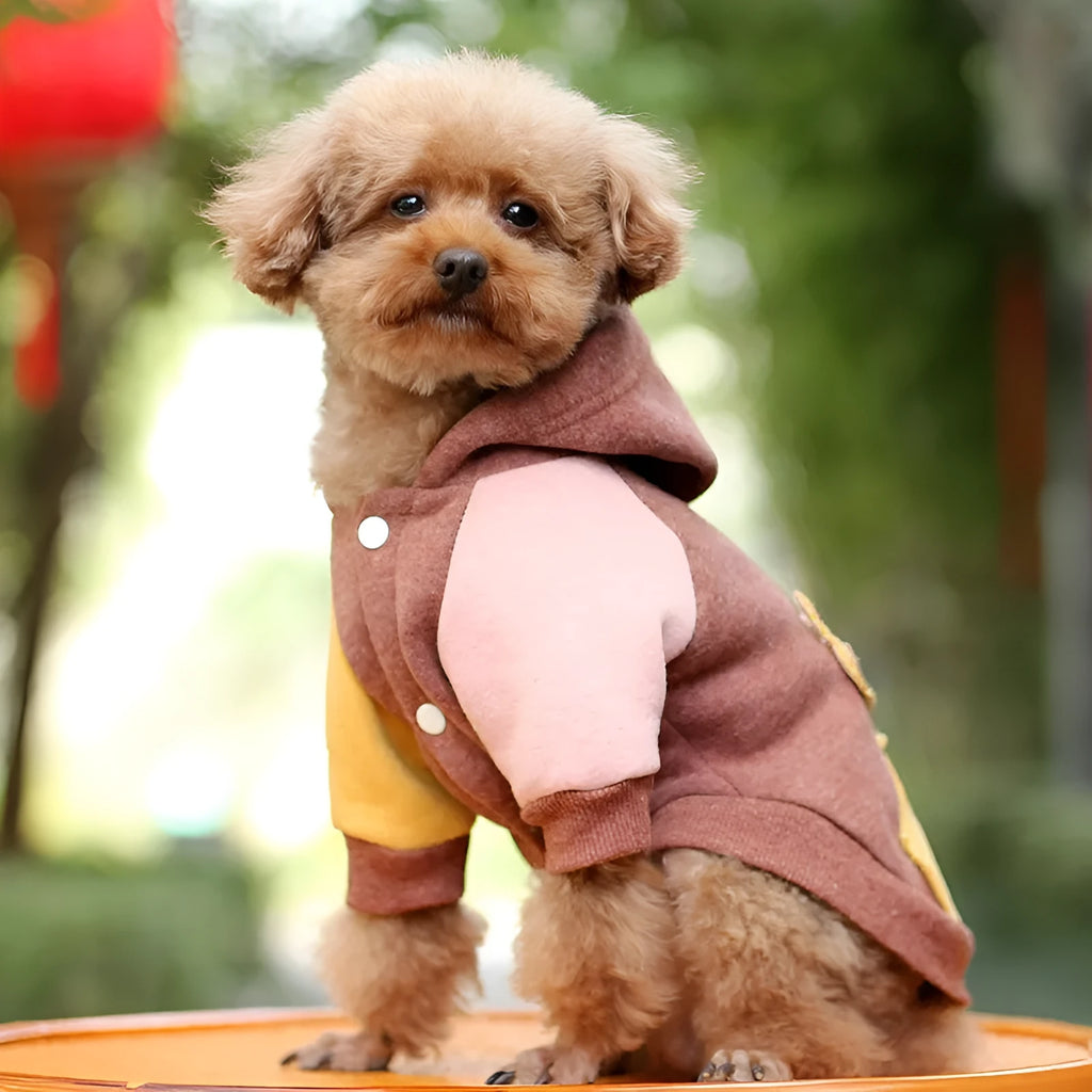 Brown cotton pet sweatshirt for a dog, showing casual leisure style.