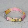 Nylon dog lead set showing gradient colour options in pink-blue combination with collar attachment