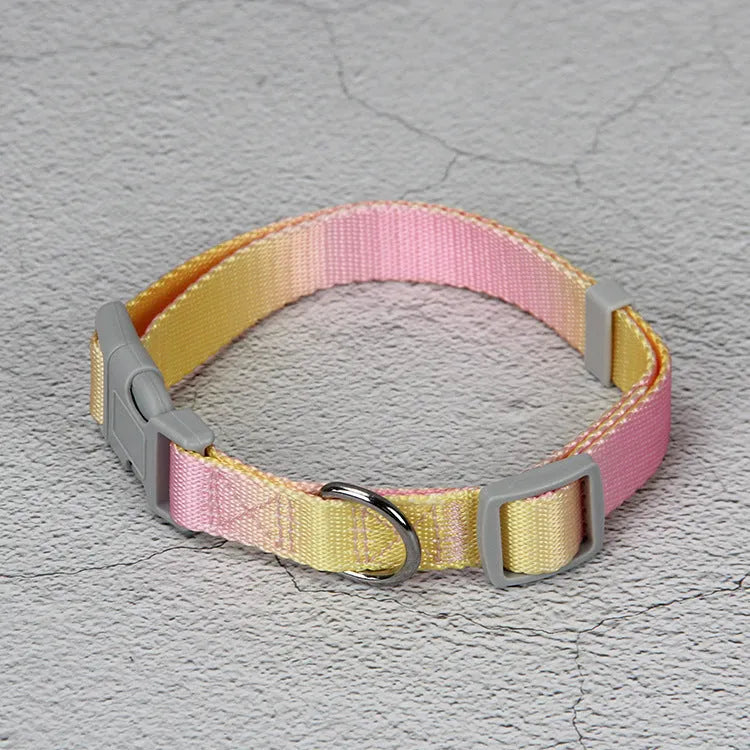 Nylon dog lead set showing gradient colour options in pink-blue combination with collar attachment