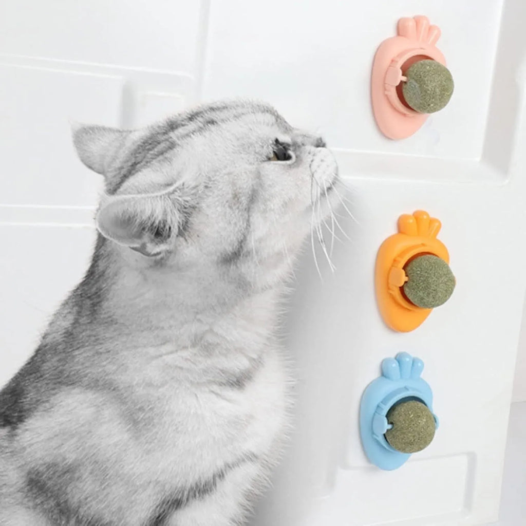 Blue carrot-shaped catnip ball toy for wall mounting and cat teeth cleaning