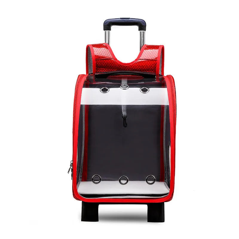 Transparent pet trolley bag with folding shoulder design in blue colour showing clear acrylic cover