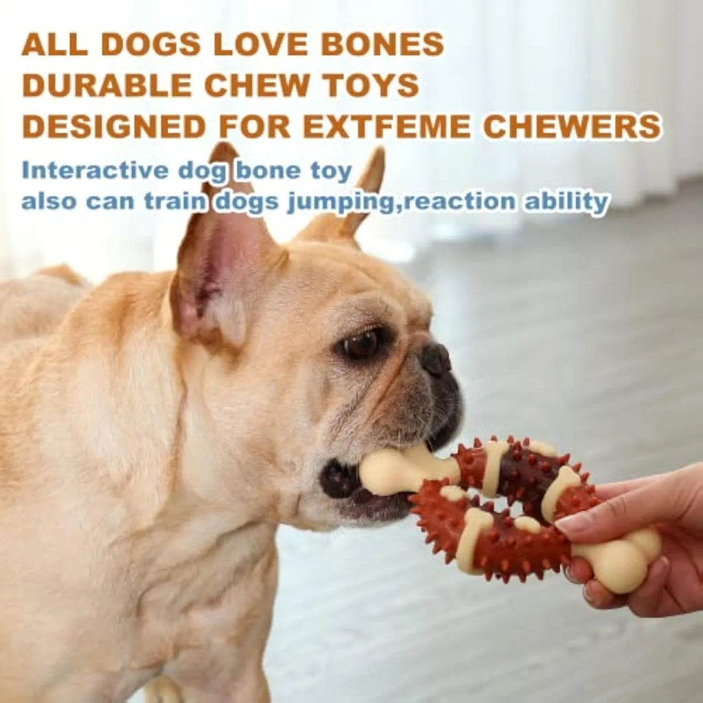 Natural rubber bone-shaped dog molar toy for teeth grinding in two size options