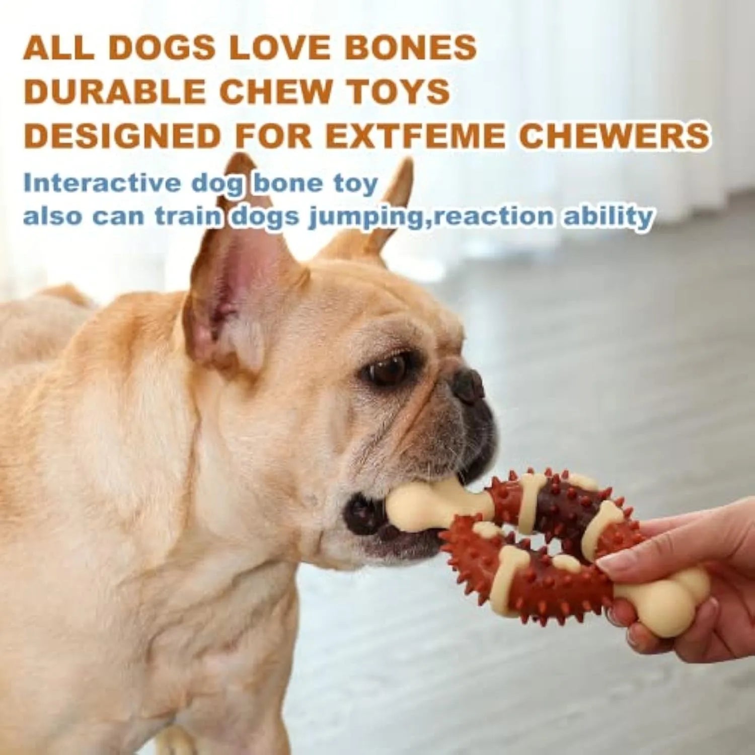 Natural rubber bone-shaped dog molar toy for teeth grinding in two size options