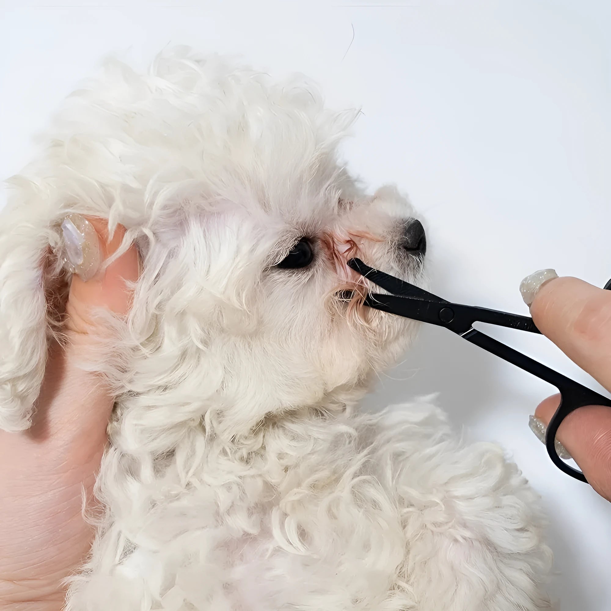 Black dual-ended pet grooming brush with soft silicone stain remover and plastic comb.