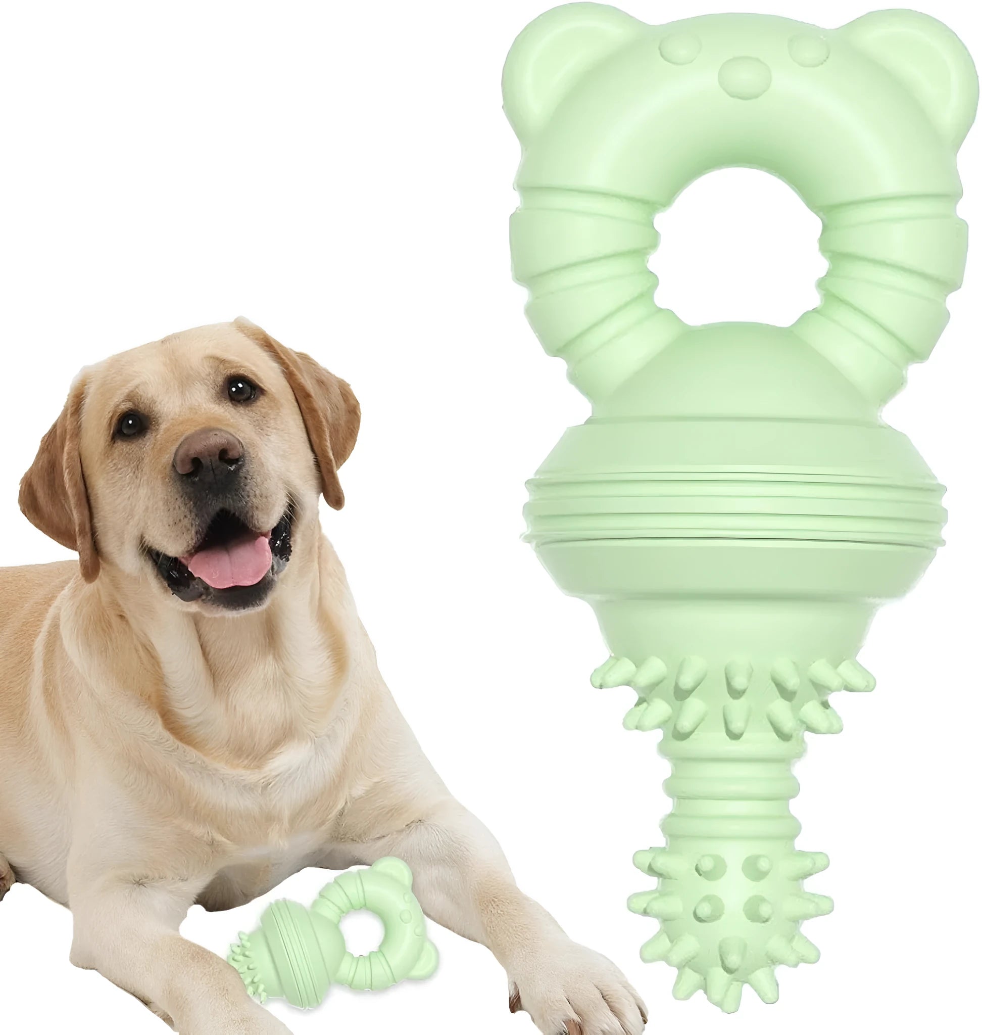 Blue rubber dog chew toy with textured surface and bell inside for dental cleaning and play