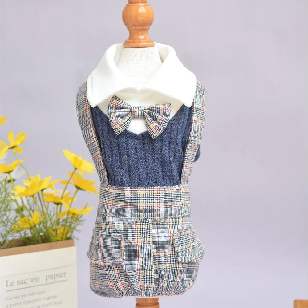 Cotton dog shirt with suit collar design in orange and dark blue colours
