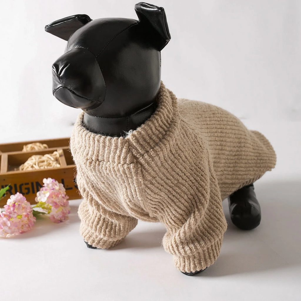 Brown cloth pullover sweater on a small dog, showing casual style.