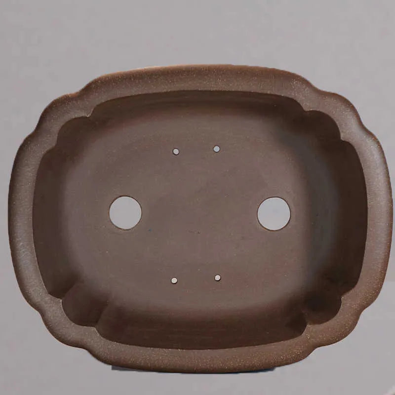 Purple sand rectangular begonia flower pot with antique style on desktop