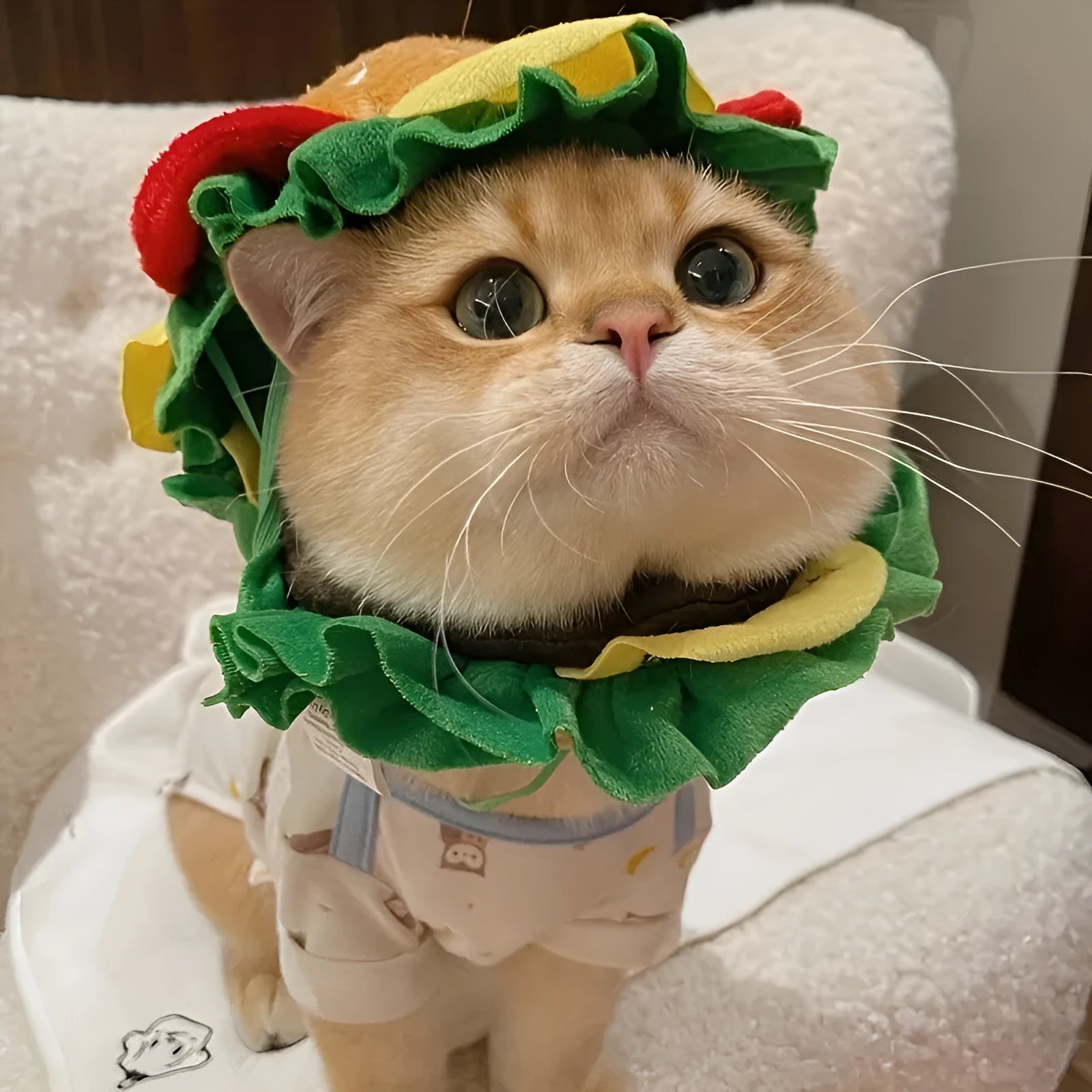 Cat wearing adjustable burger headdress collar in soft fabric for costume parties and photography