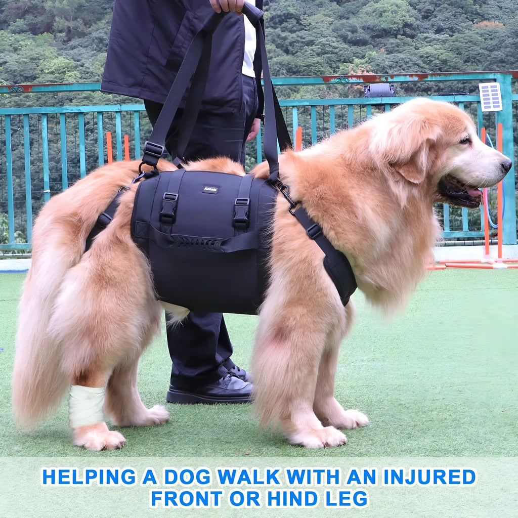 Black Oxford cloth dog rehabilitation harness with breast strap and leg support shown on dog