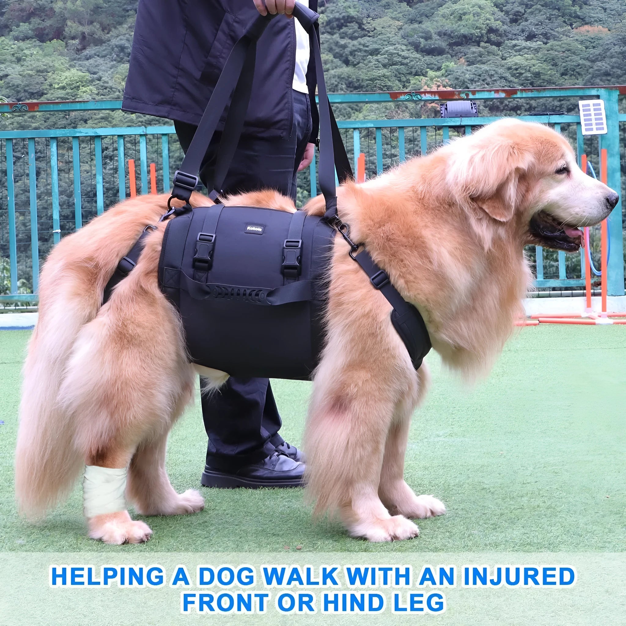 Black Oxford cloth dog rehabilitation harness with breast strap and leg support shown on dog