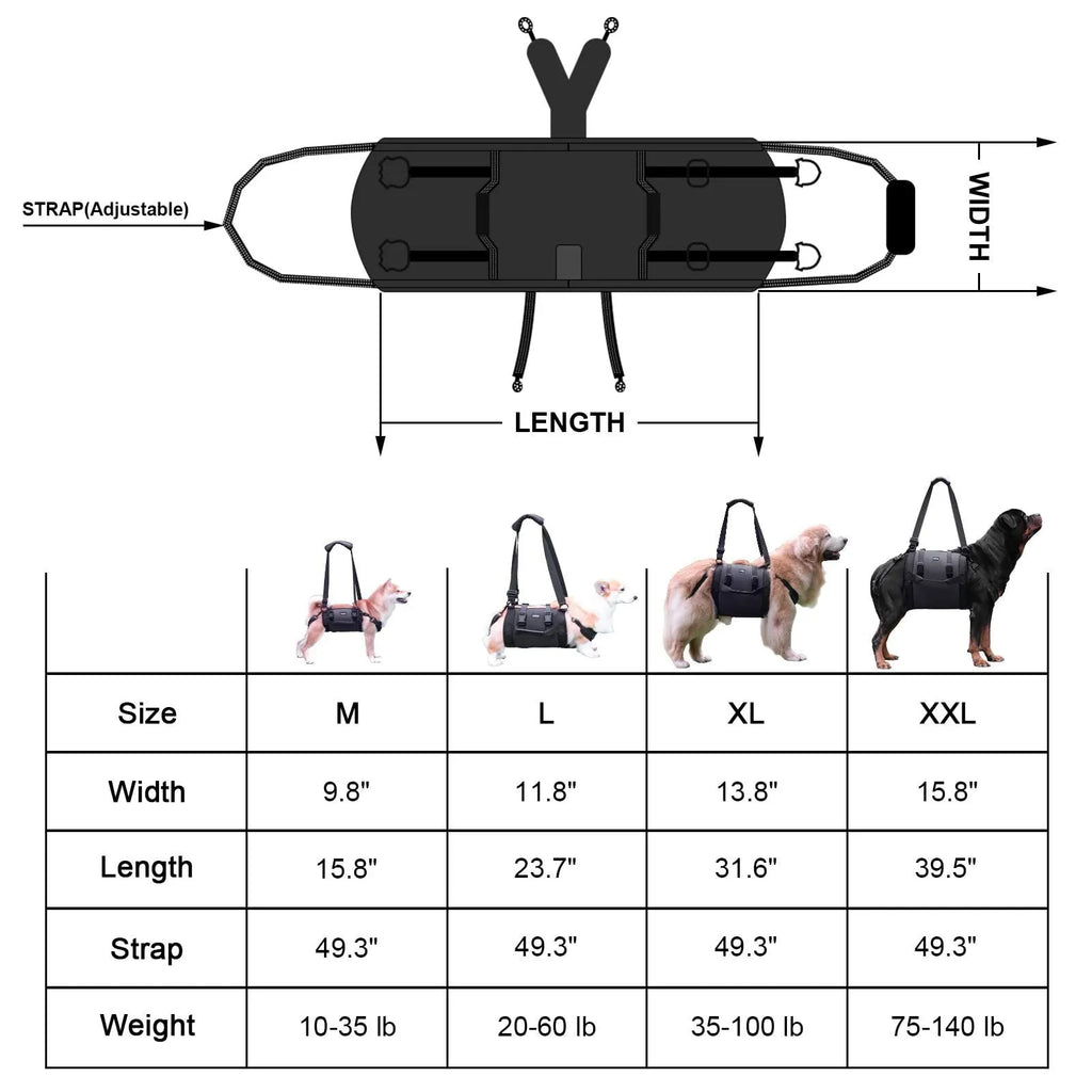 Black Oxford cloth dog rehabilitation harness with breast strap and leg support shown on dog