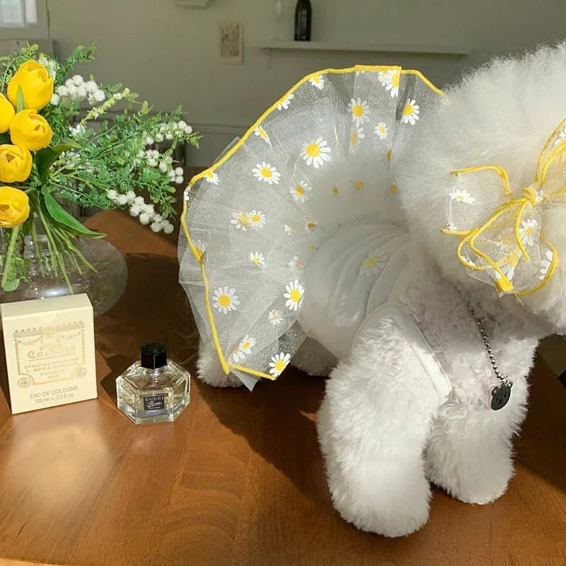 Yellow daisy pattern dog clothes on pet, lightweight polyester summer outfit