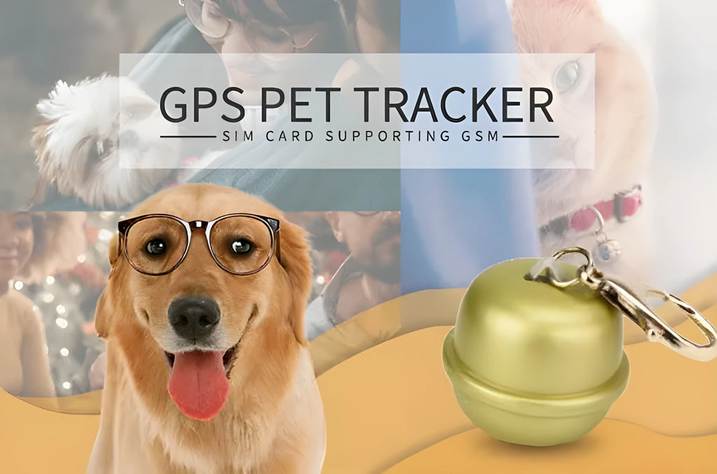 GPS dog collar pet locator with adjustable nylon strap in four colour options