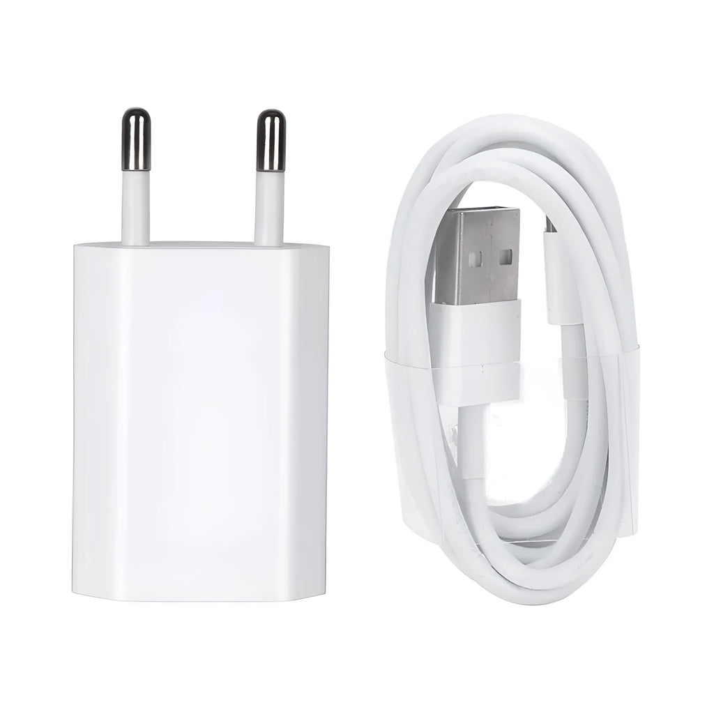 5V 2A USB travel charger and cable compatible with iPhone and iPad models