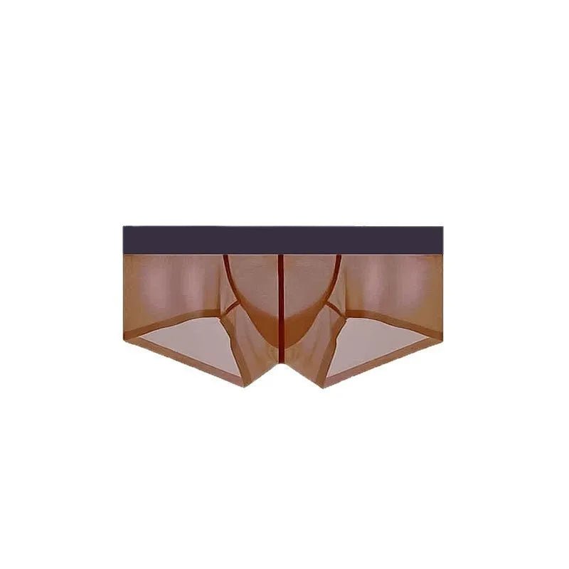 Men's ice silk seamless underwear in chocolate colour showing low waist and sheer fabric detail