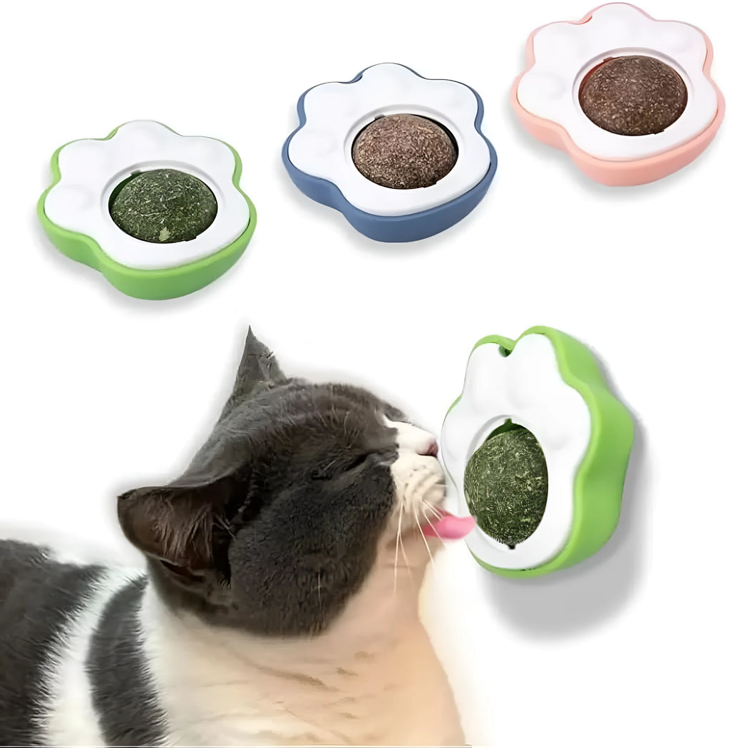 Extra strength edible vine catnip dental chew balls for cats in blue, green, and pink colours