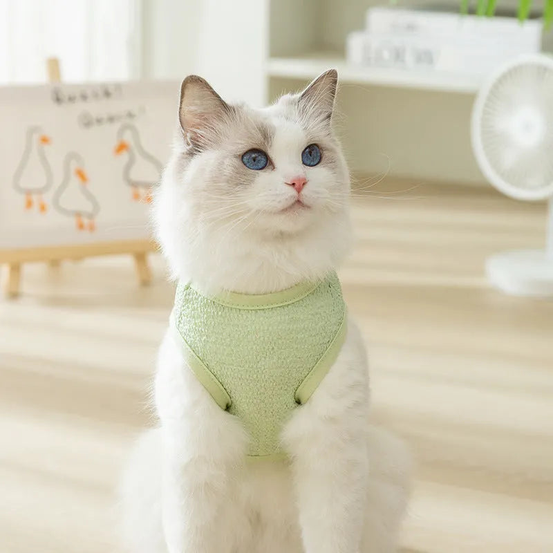 Hollowed-out cat clothing with bear patch in green, blue, or yellow colours