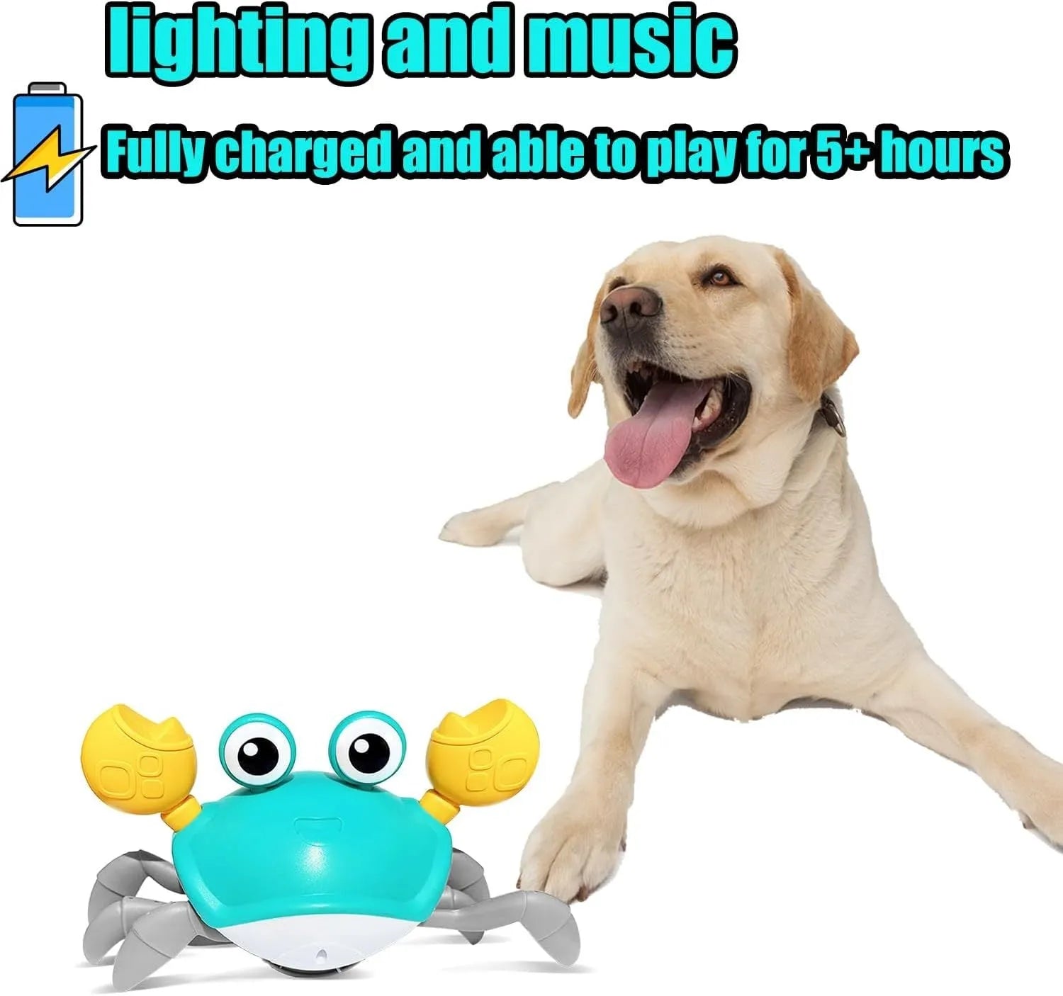 Blue or red electronic crab dog toy with lights, shown on a floor surface.