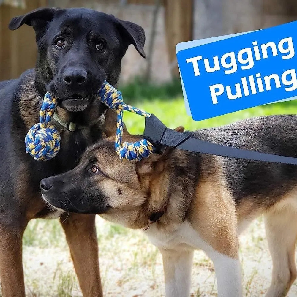 Green cotton dog tug rope toy with a textured teether ball attached for bite and pull play.