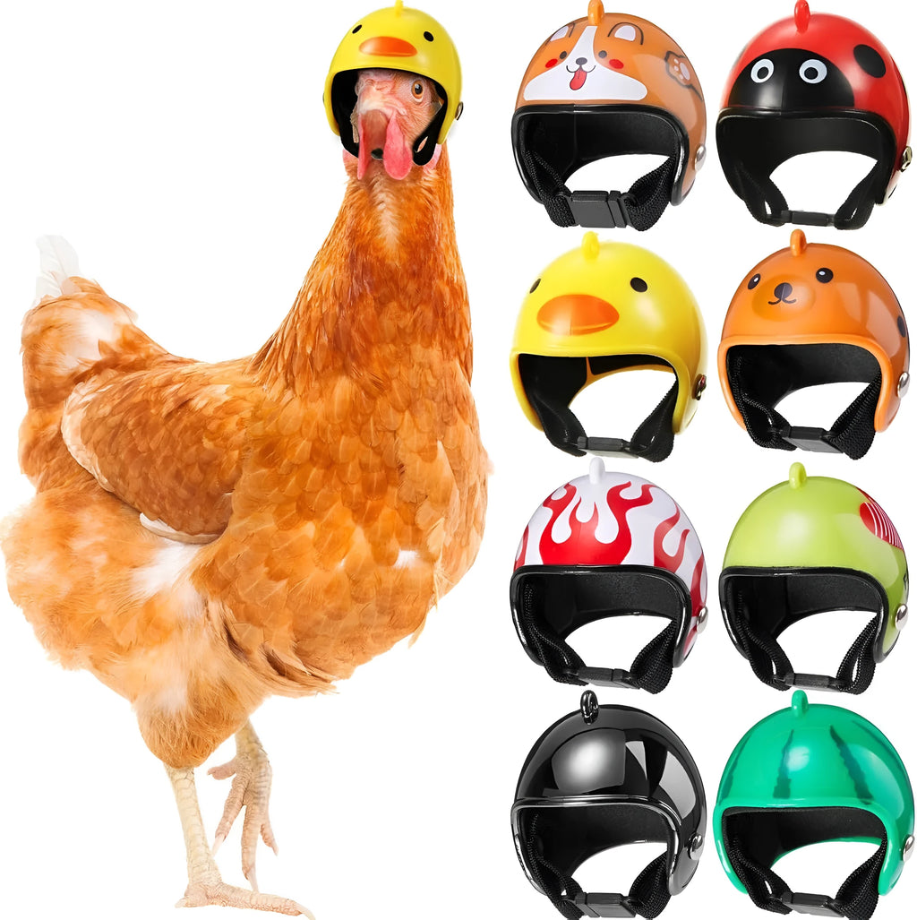Small plastic pet helmet with elastic bands for chickens and birds on measurement background