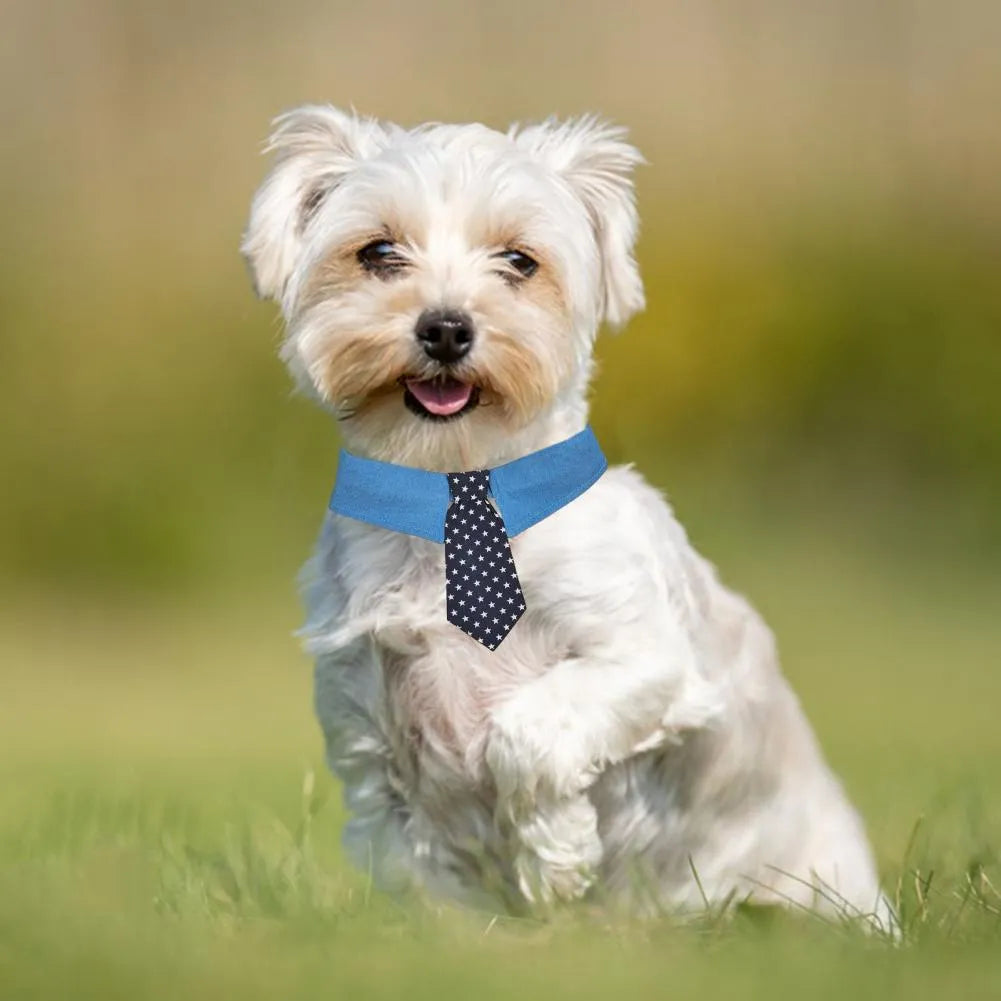 Denim pet collar with star pattern necktie attached, showing adjustable fastener tape and three size options