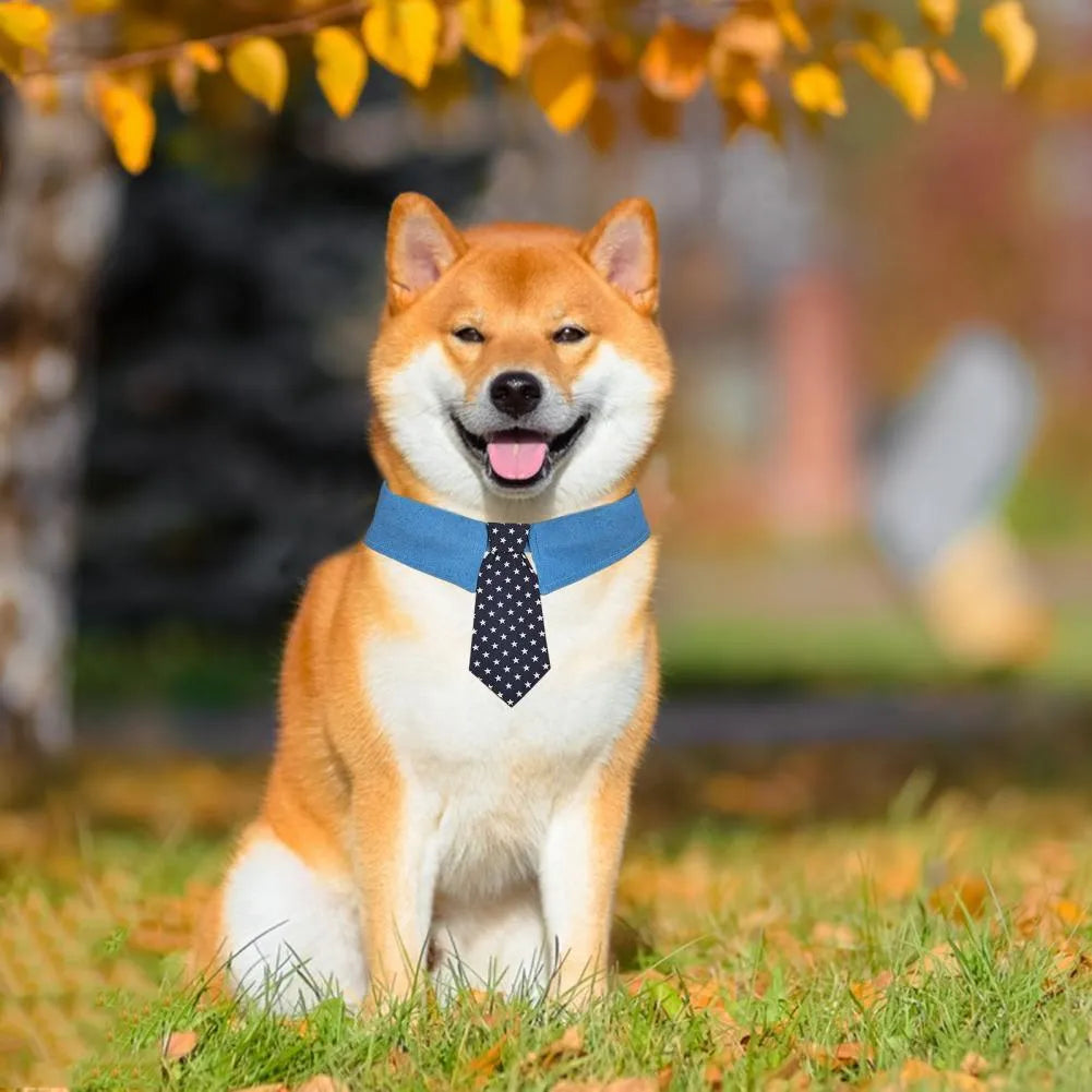 Denim pet collar with star pattern necktie attached, showing adjustable fastener tape and three size options