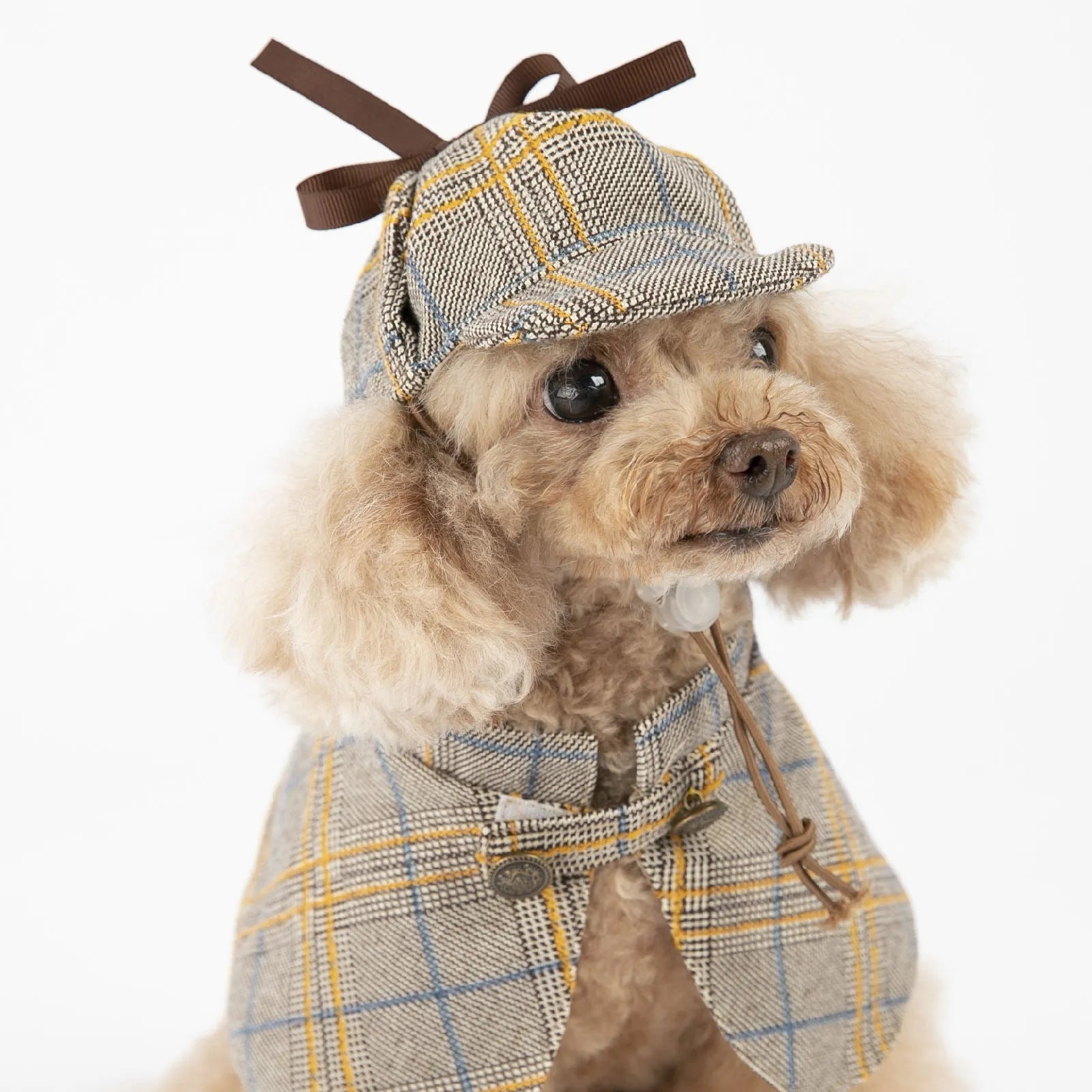 Camel coloured cotton pet cloak with adjustable hat shown in multiple sizes for dogs and cats