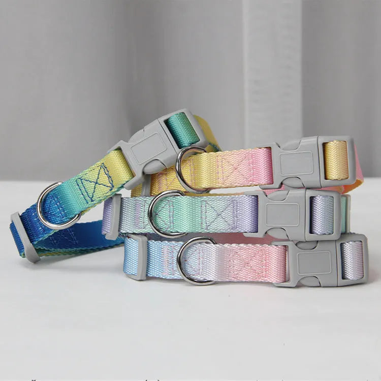 Nylon dog lead set showing gradient colour options in pink-blue combination with collar attachment