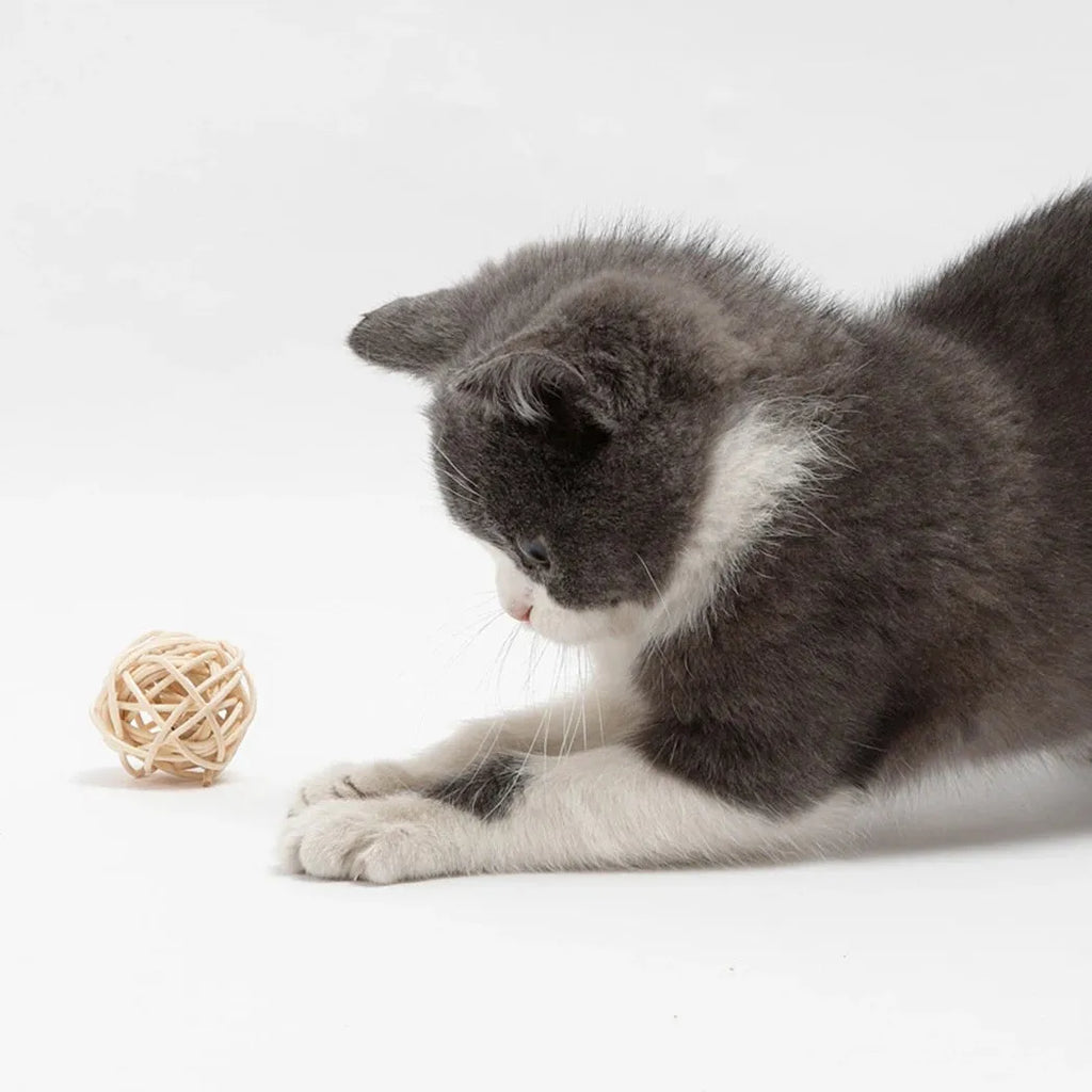 Two cat ball toys: rattan ball with bell and faux feather ball with coloured feathers for interactive play