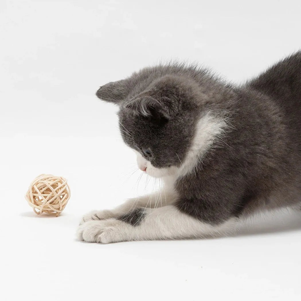 Two cat ball toys: rattan ball with bell and faux feather ball with coloured feathers for interactive play