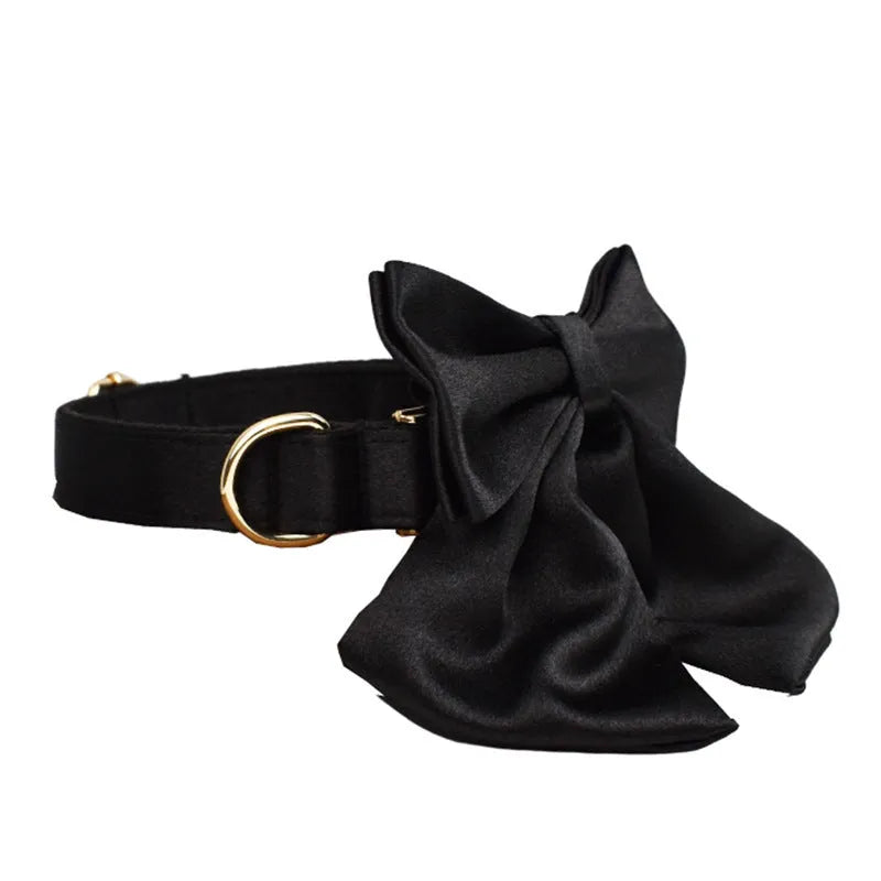 Complete dog walking set showing collar, leash, decorative bow, and vest piece in coordinated colours