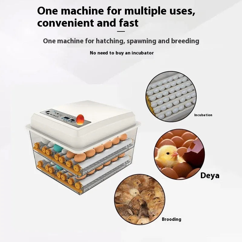Fully automatic plastic incubator with 16 egg capacity and digital temperature control panel