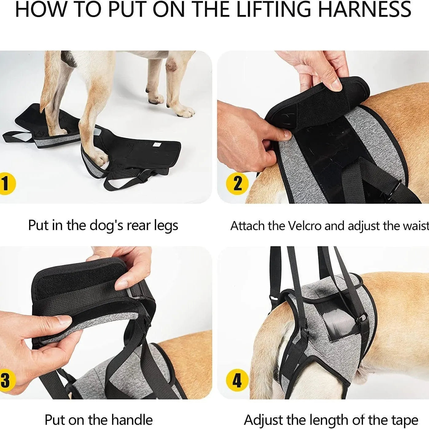 Grey neoprene dog recovery belt wrapped around a dog's waist and thigh for rear leg support.