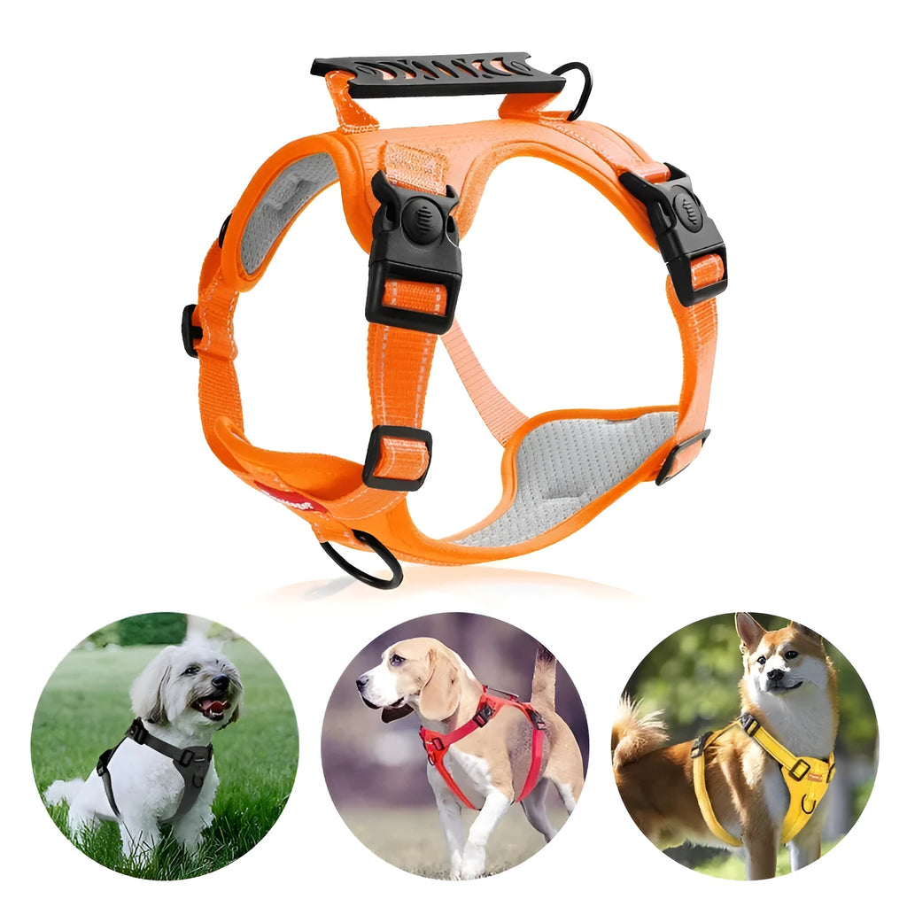 Polyester dog chest harness traction rope in multiple colours for sizes XS to XL