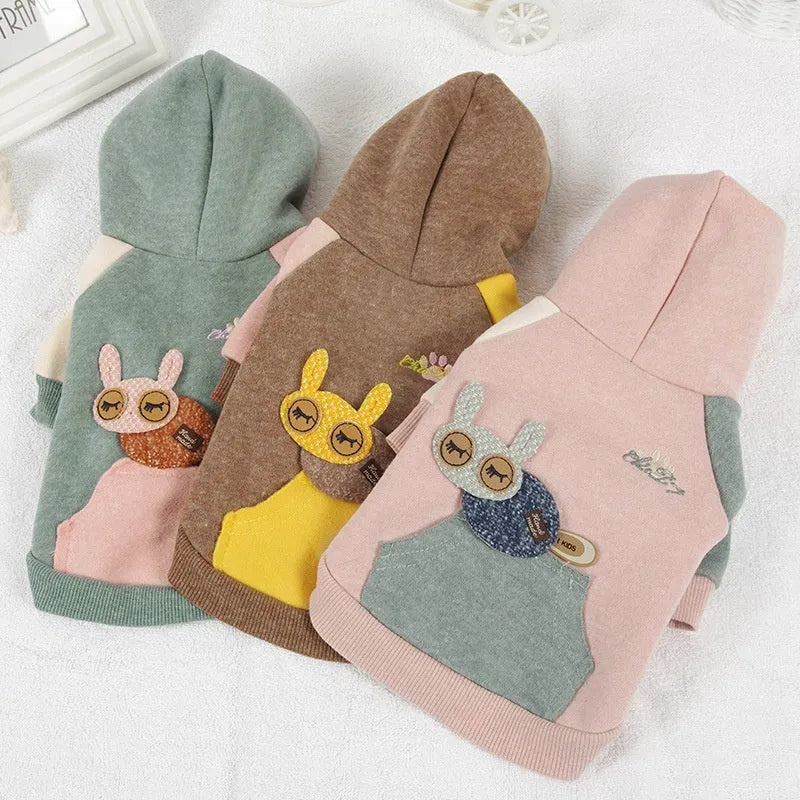 Brown cotton pet sweatshirt for a dog, showing casual leisure style.