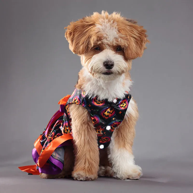 Halloween dog skirt in colourful pumpkin print with double-layer design