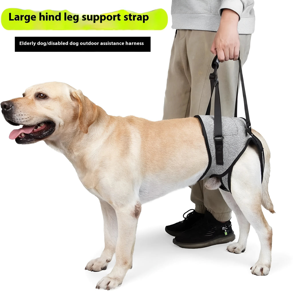 Grey neoprene dog recovery belt wrapped around a dog's waist and thigh for rear leg support.