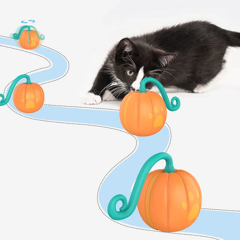 Electric cat toy ball with luminous design in watermelon or pumpkin pattern