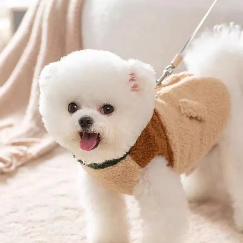 Lomi Brown denim style polyester dog traction vest coat on a small breed dog