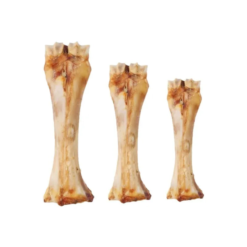 Pet Molar Rod chew for puppies in high calcium roasted ox bone flavour