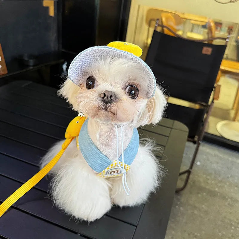 Three-piece pet set with cute hat, wire rope pulling rope, and harness with leash in various sizes