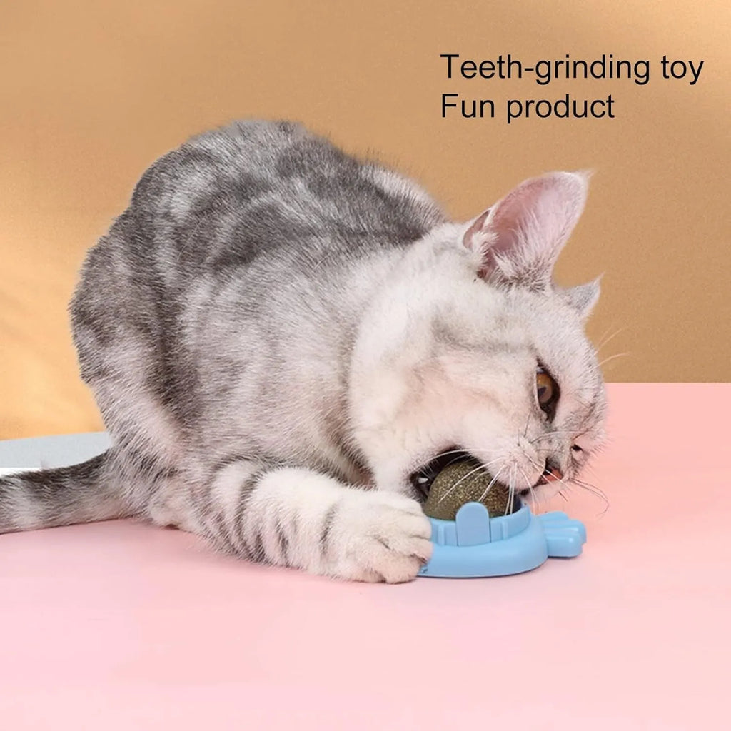 Blue carrot-shaped catnip ball toy for wall mounting and cat teeth cleaning