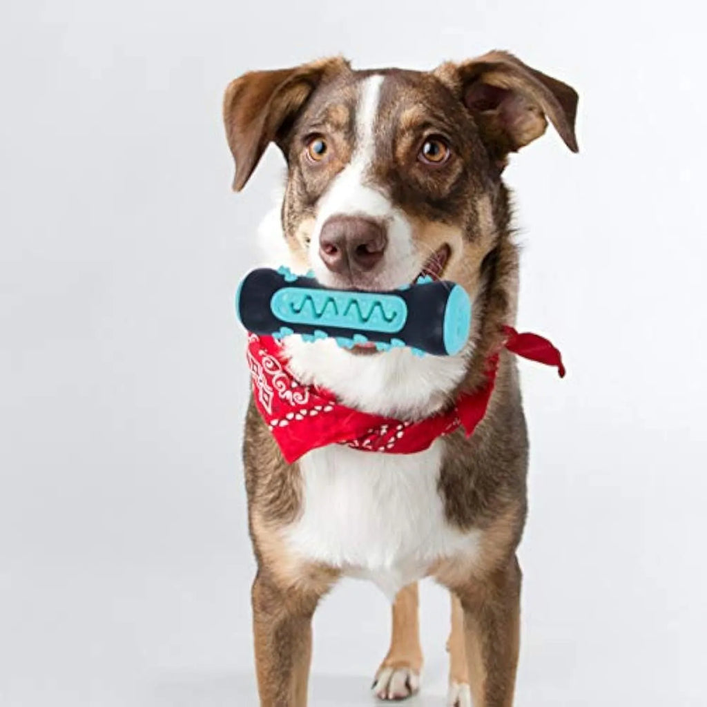 Natural rubber dog toothbrush chew toy in blue colour for dental cleaning.